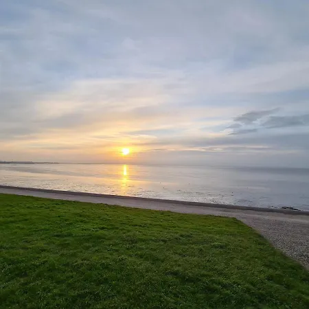 Zonnebloem Lejlighed Hippolytushoef