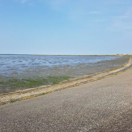 Zonnebloem