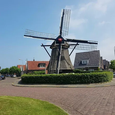Zonnebloem * Hippolytushoef